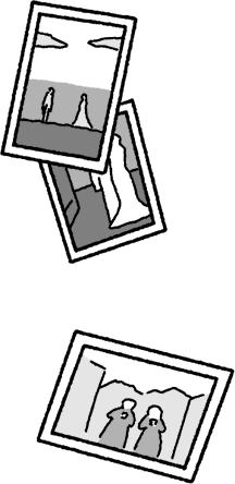 写真のイラスト