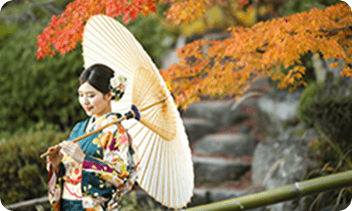 サービスサイトの画像